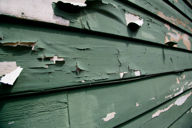 Best Residential Junk Removal  in Borrego Springs, CA